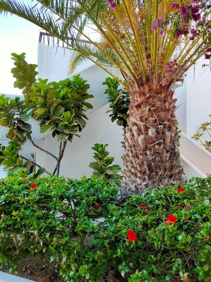 Flor De Cactus Apartment Costa Teguise Bagian luar foto