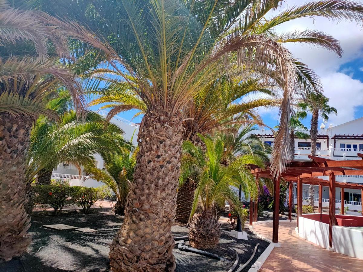Flor De Cactus Apartment Costa Teguise Bagian luar foto