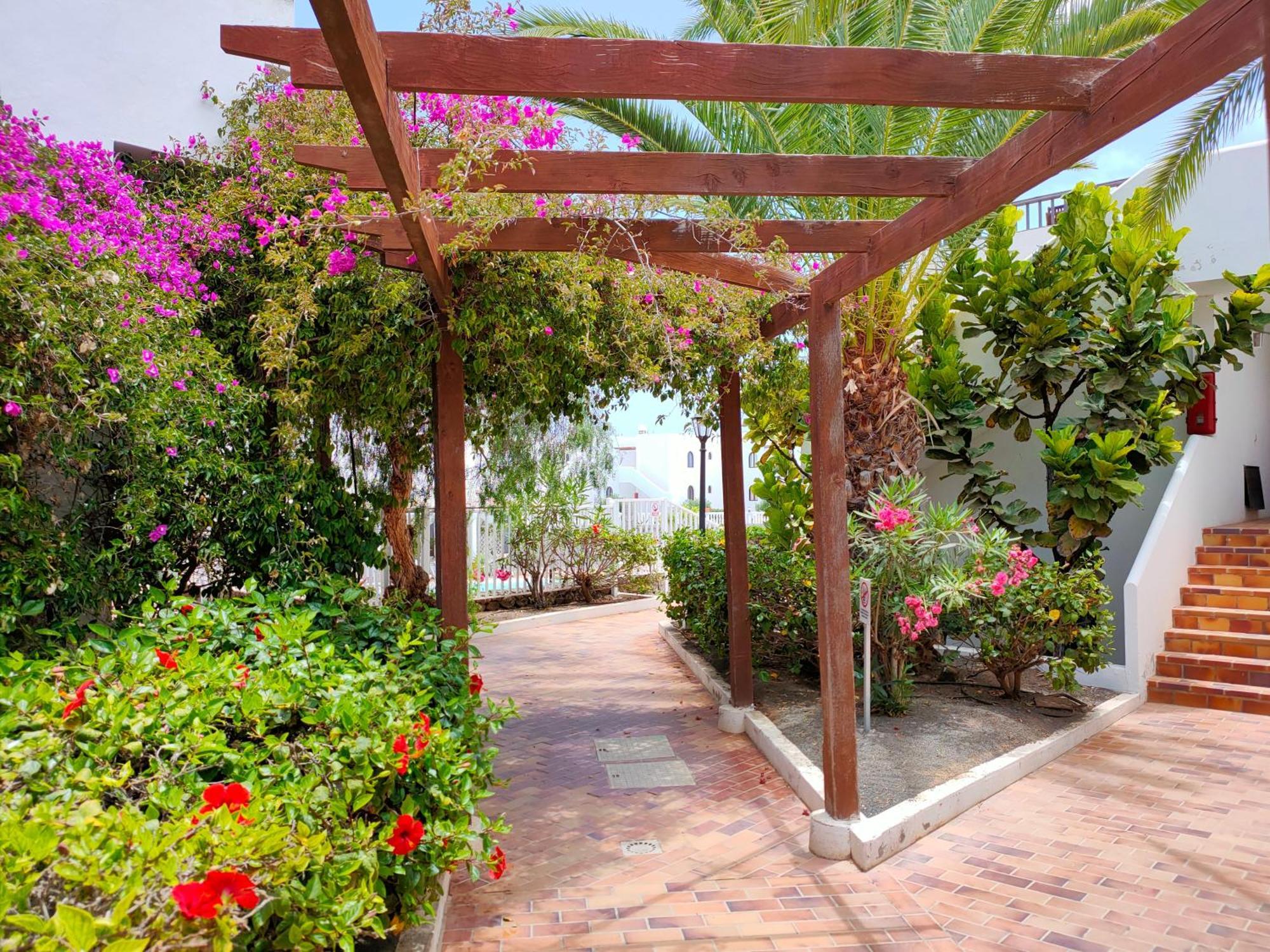 Flor De Cactus Apartment Costa Teguise Ruang foto