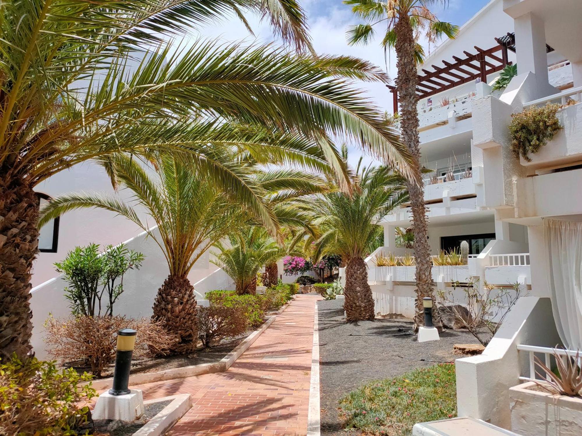 Flor De Cactus Apartment Costa Teguise Ruang foto